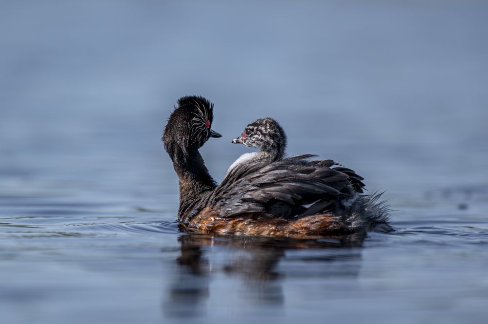 Photograph by Ricardo Núñez Montero