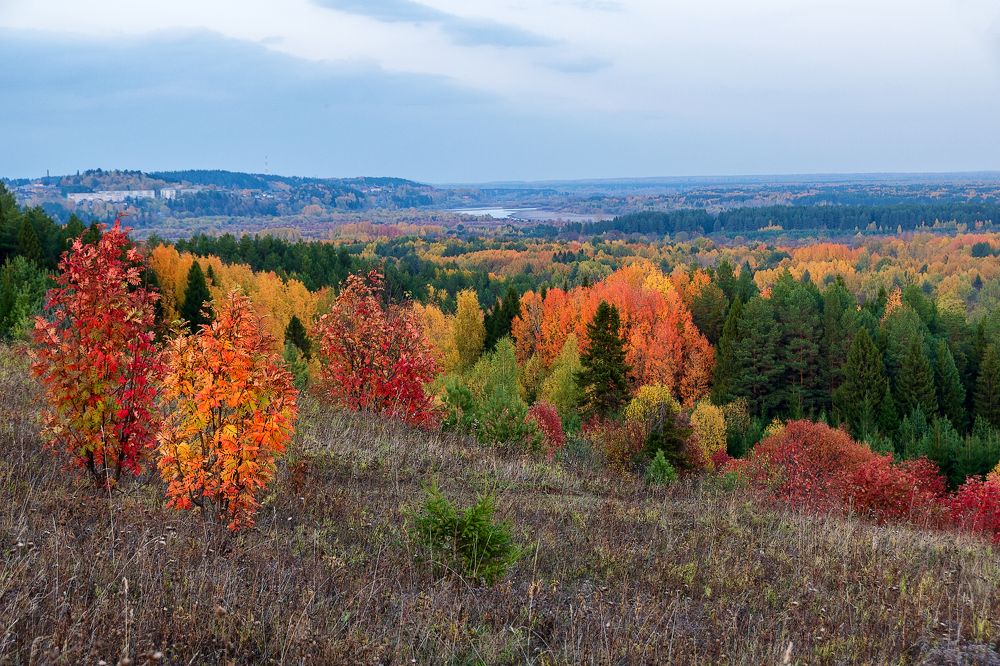 Photograph by Светлана Ващенко