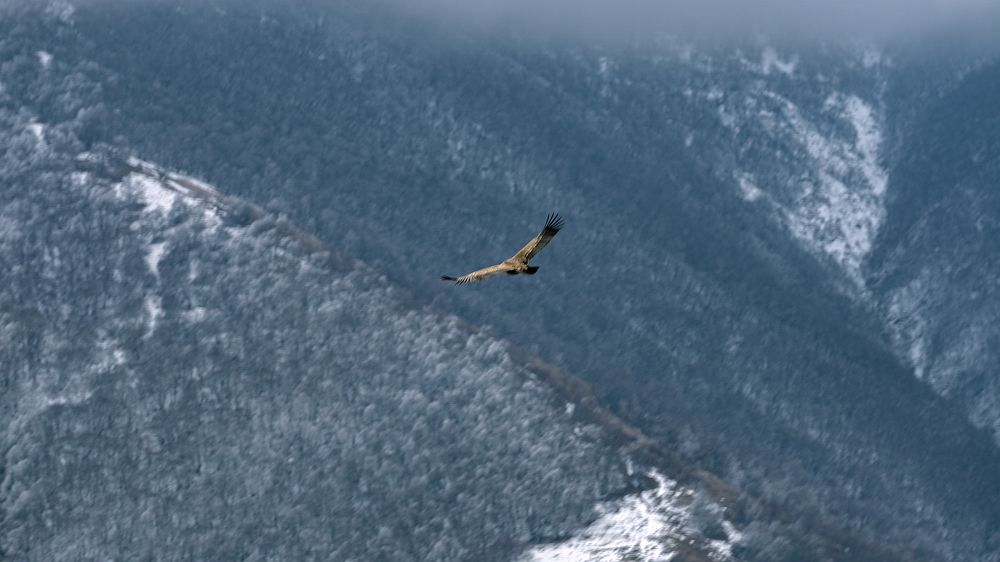 Photograph by Виталий Павлов