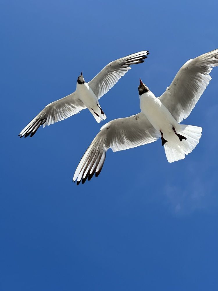 Photograph by Екатерина Балакина