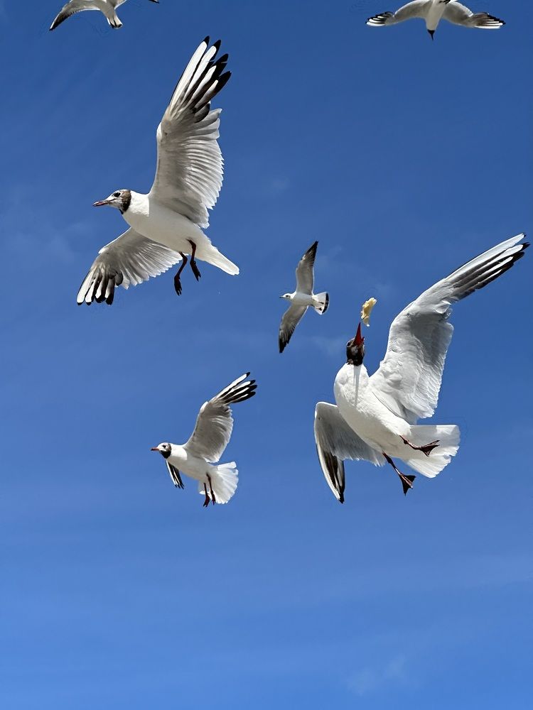 Photograph by Екатерина Балакина