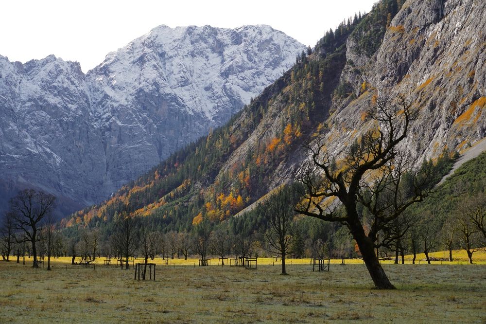 Фотография автора Liudmila Kiermeier