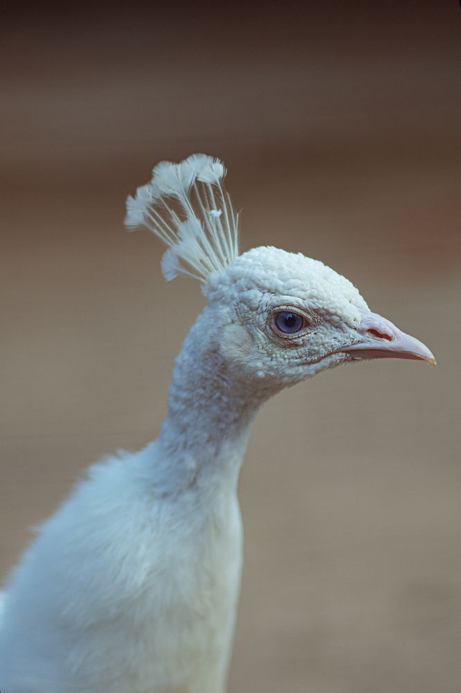 Photograph by Наталья Золотарева