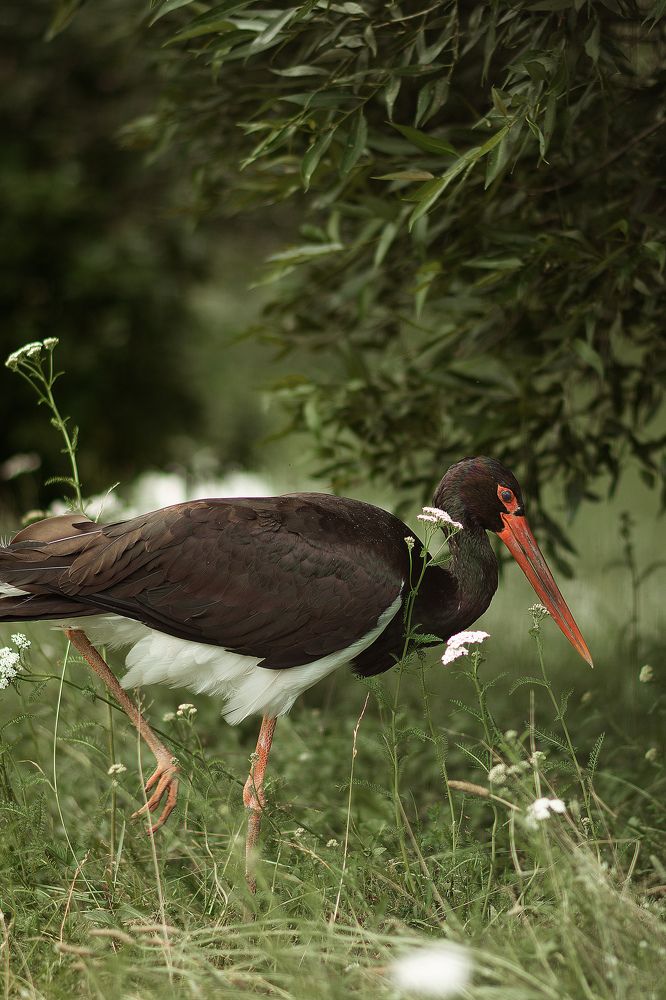 Photograph by Наталья Золотарева