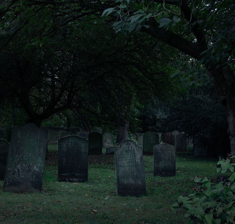 Photograph by Бочина Оксана