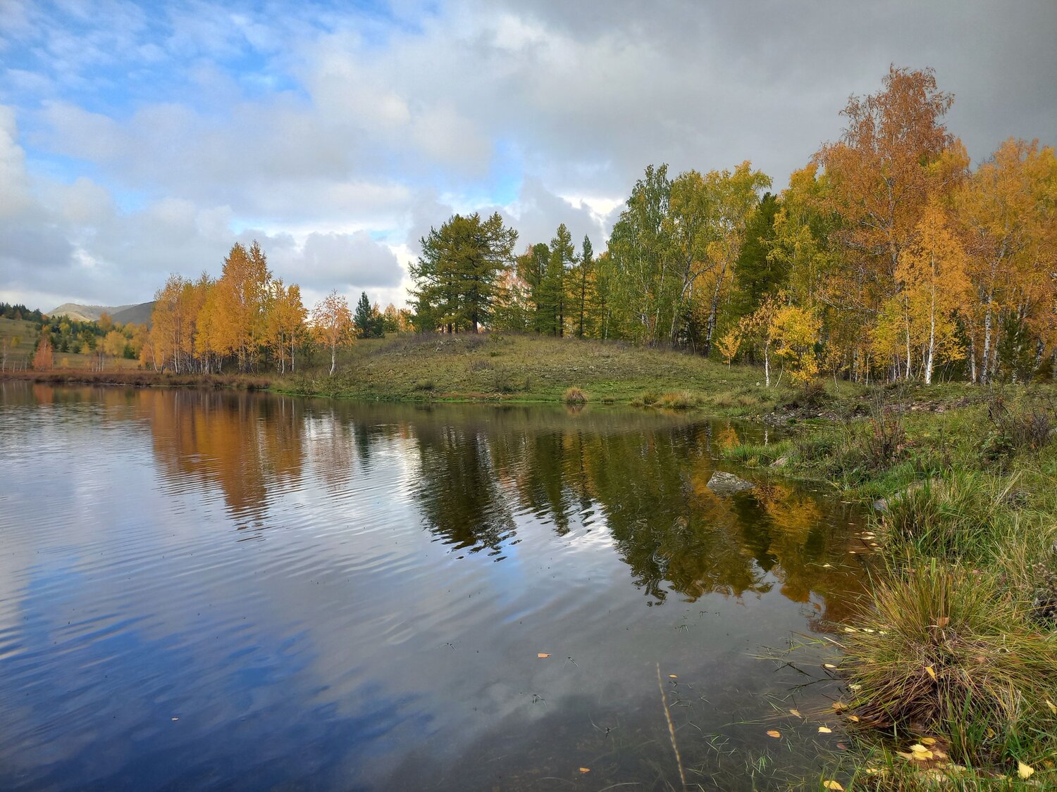 Photo #11104885