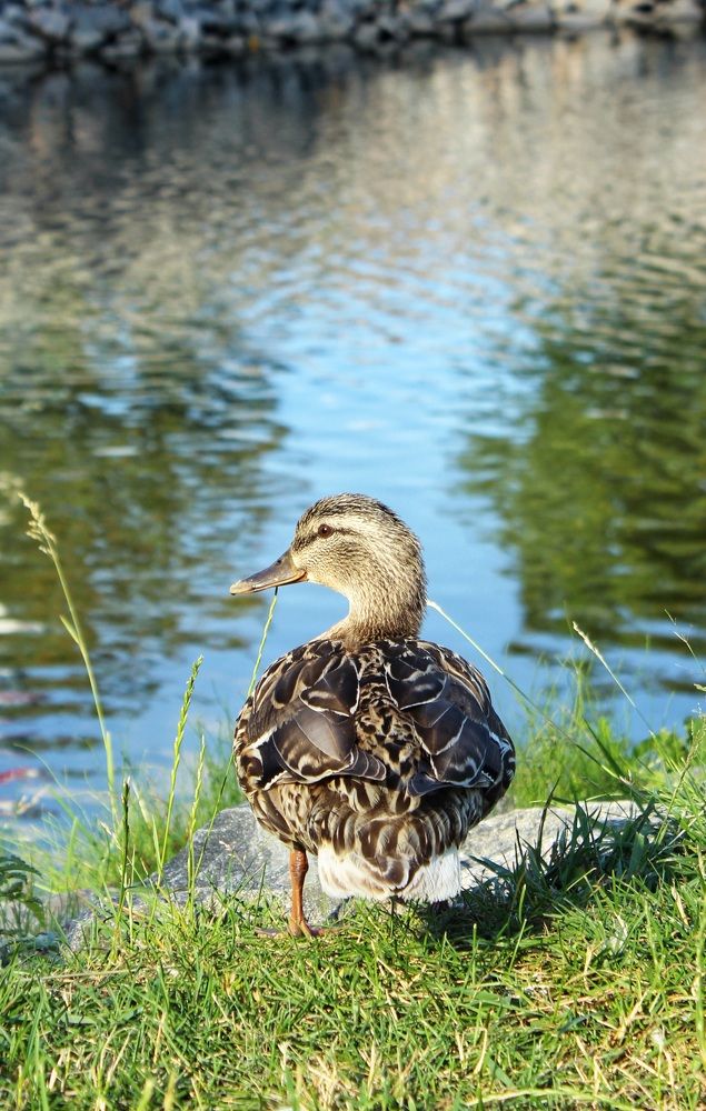 Photograph by Татьяна Сычёва