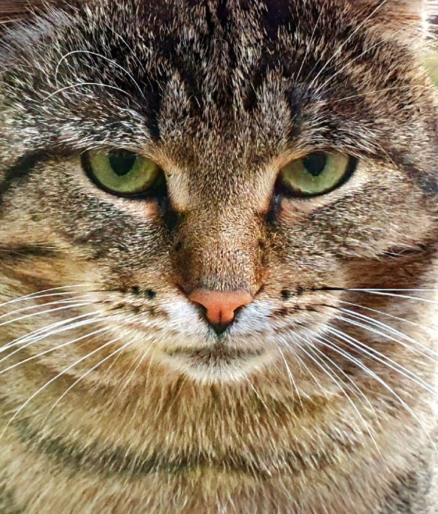 Photograph by Яна Галимуллина