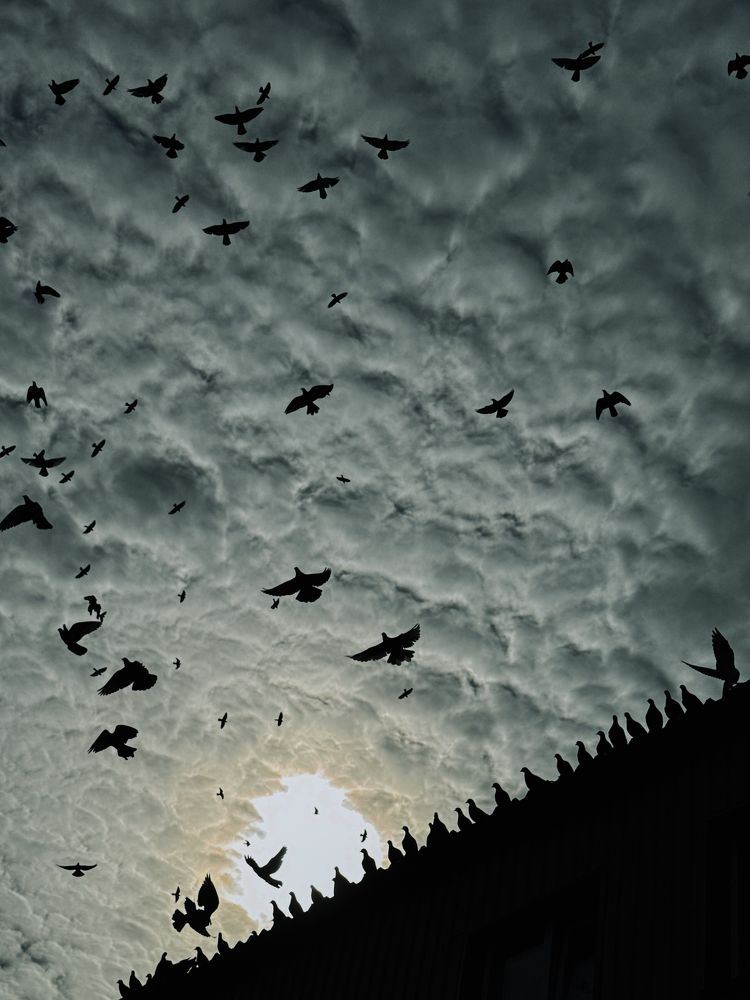 Photograph by Олена Уманцева