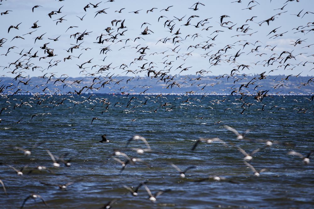 Photograph by Francisco Paredes