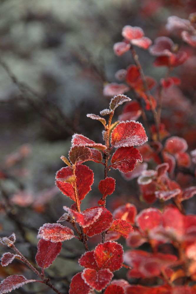 Photograph by Мария Жукова