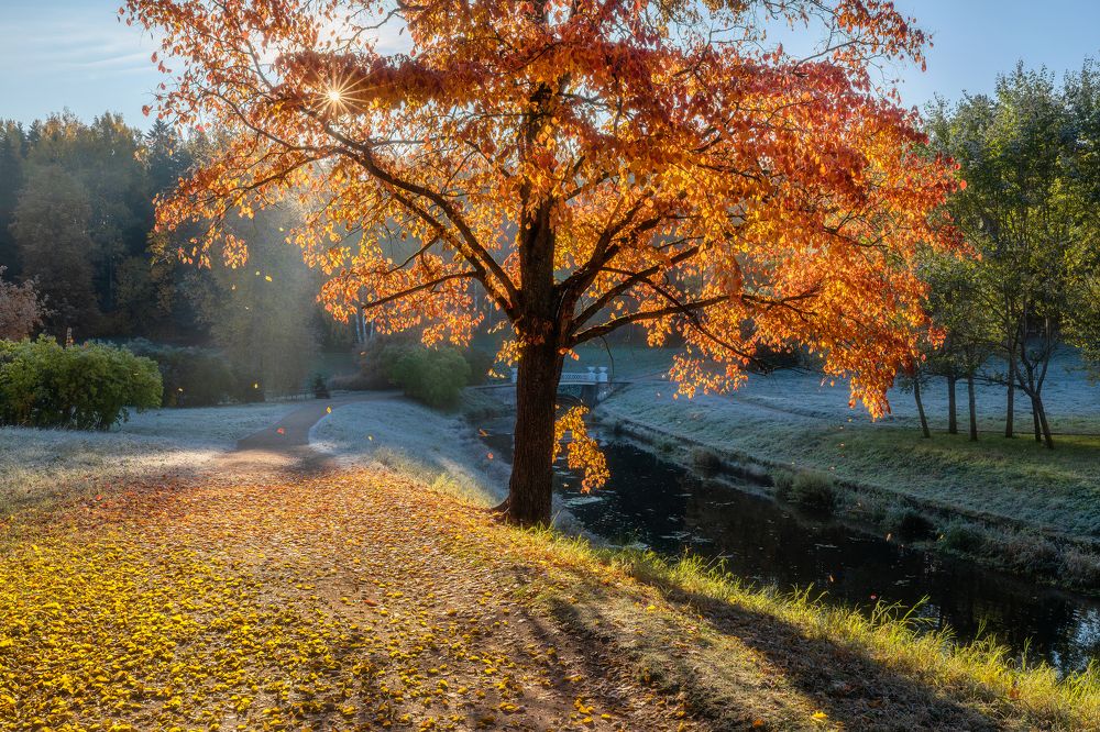 Фотография автора Alexander Pashenichev