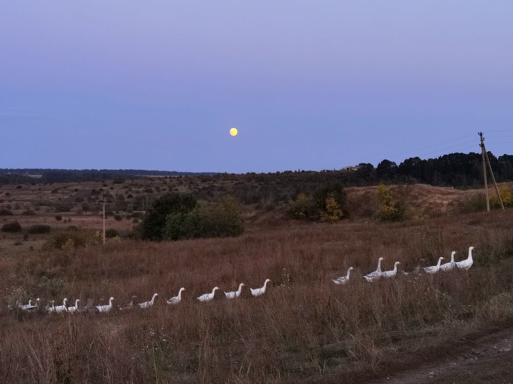 Photograph by Филоненко Николай