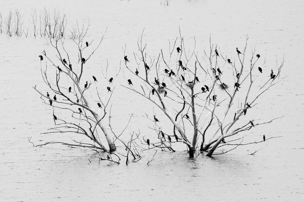 Photograph by Dimitris Vavliaras