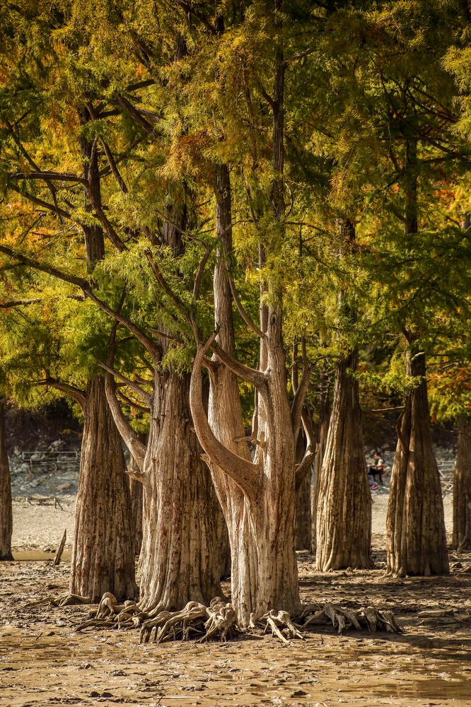 Photograph by Алексей Шевцов