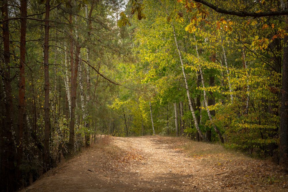 Photograph by Александр Войтко
