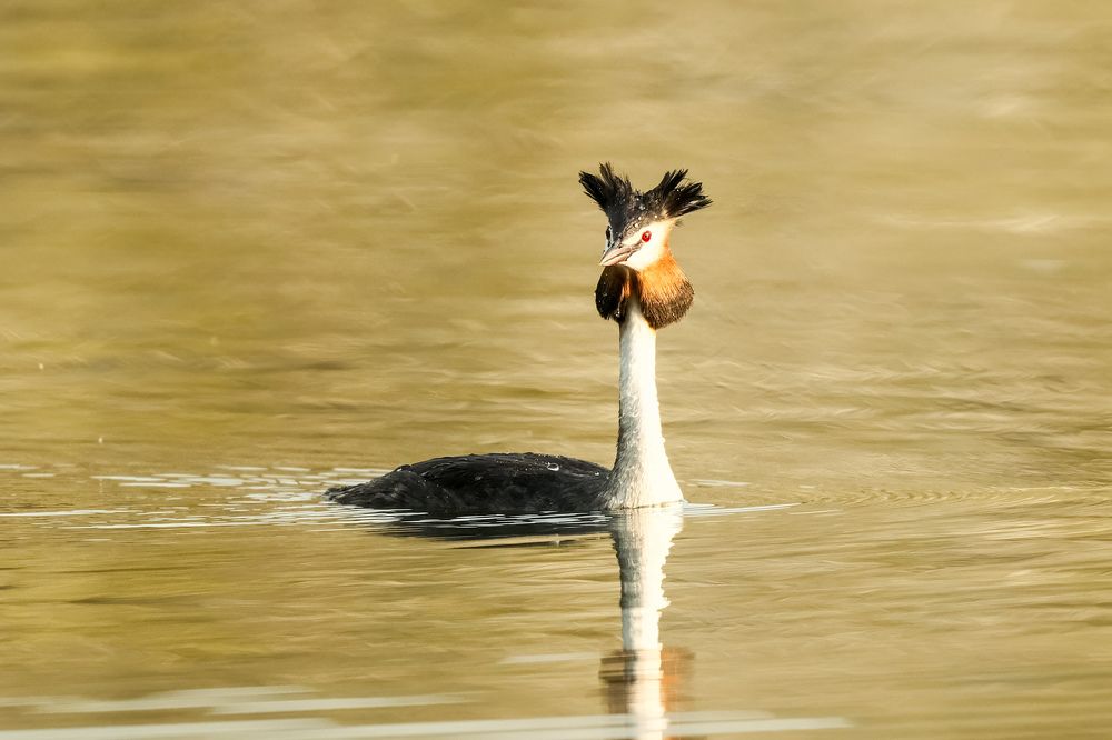 Photograph by Dimitris Vavliaras