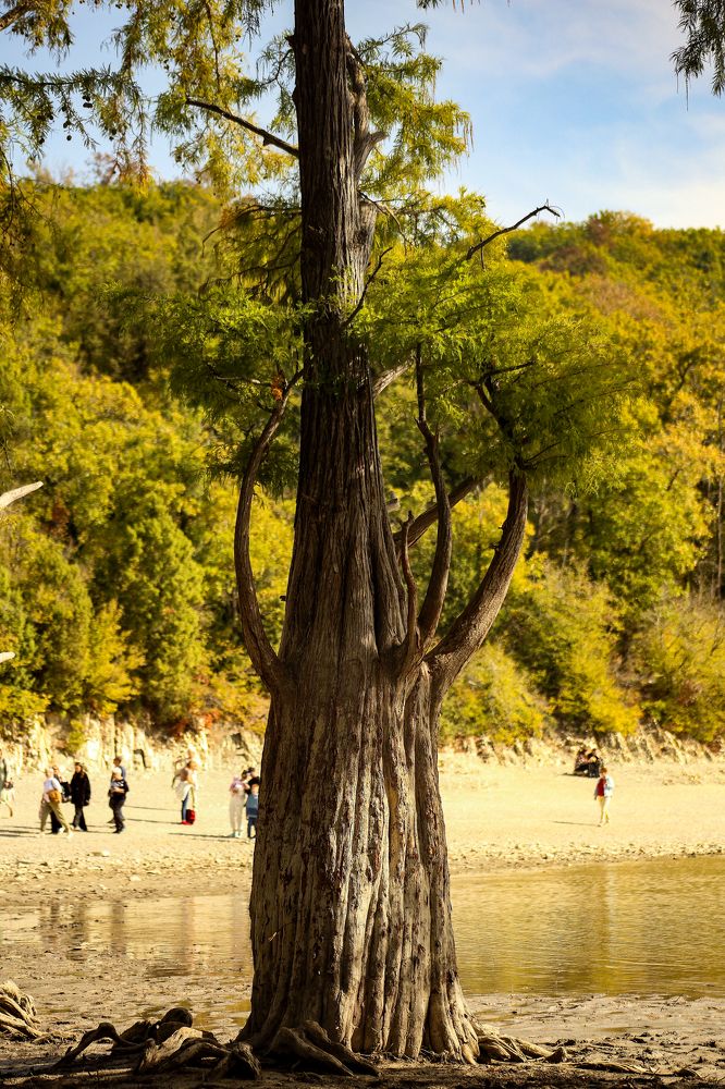 Photograph by Алексей Шевцов