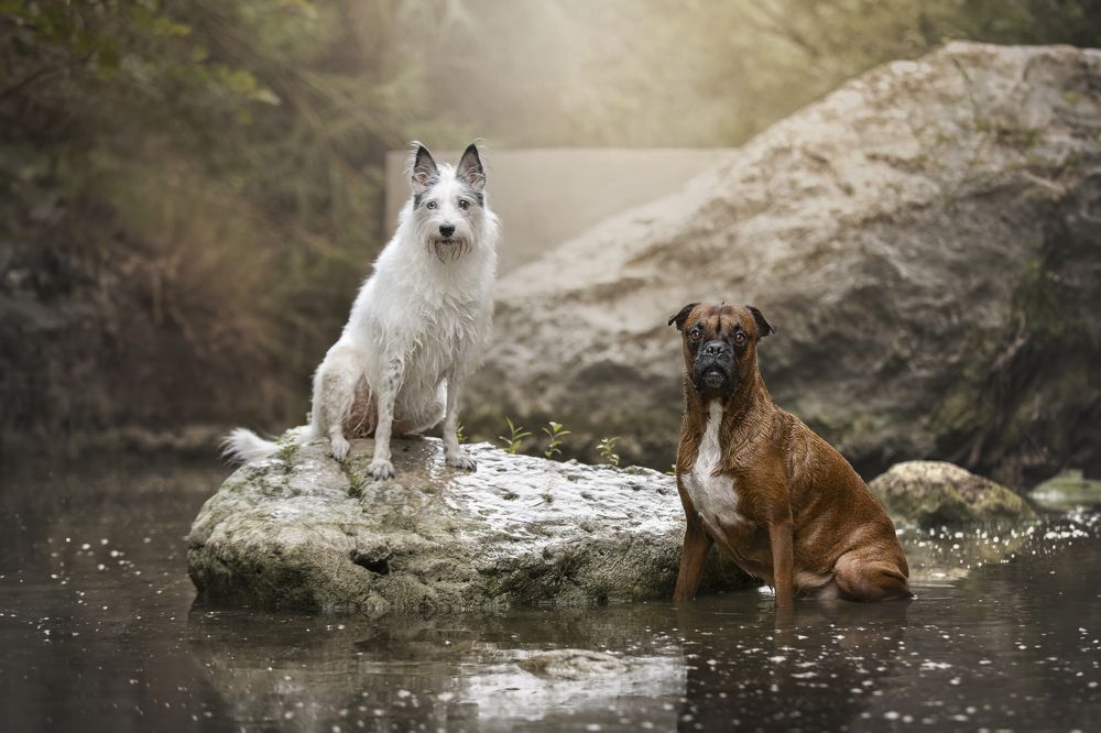 Photograph by Paula Casado Gutierrez