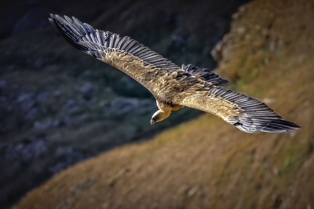 Photograph by Aleksandr Solovev