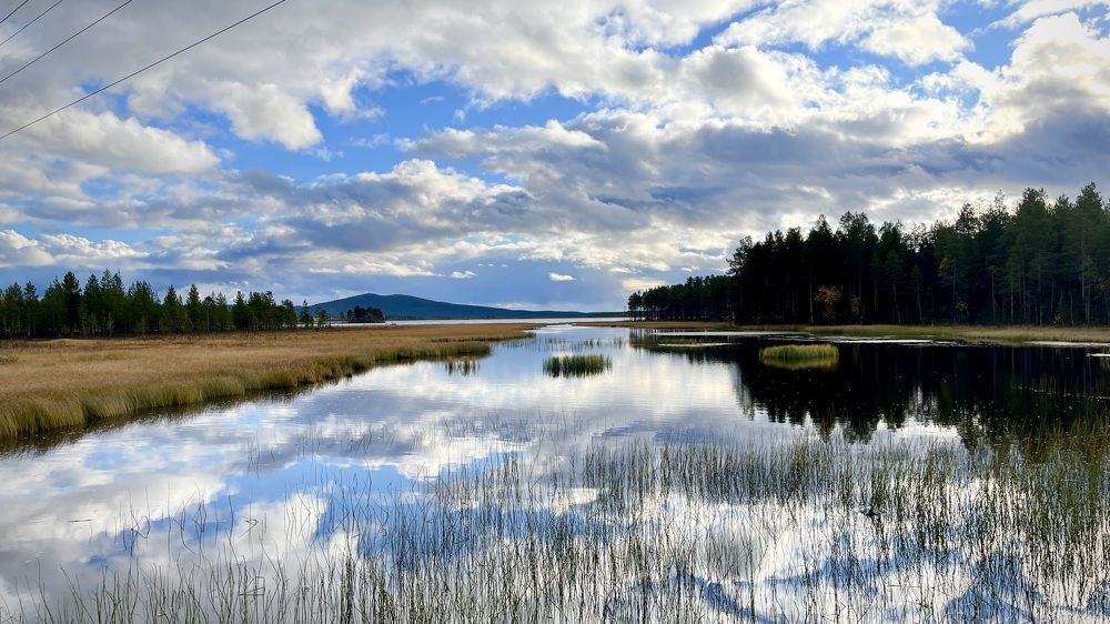 Фотография автора Юлия Шумейко