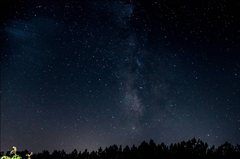 Photograph by Francisco Ferreira