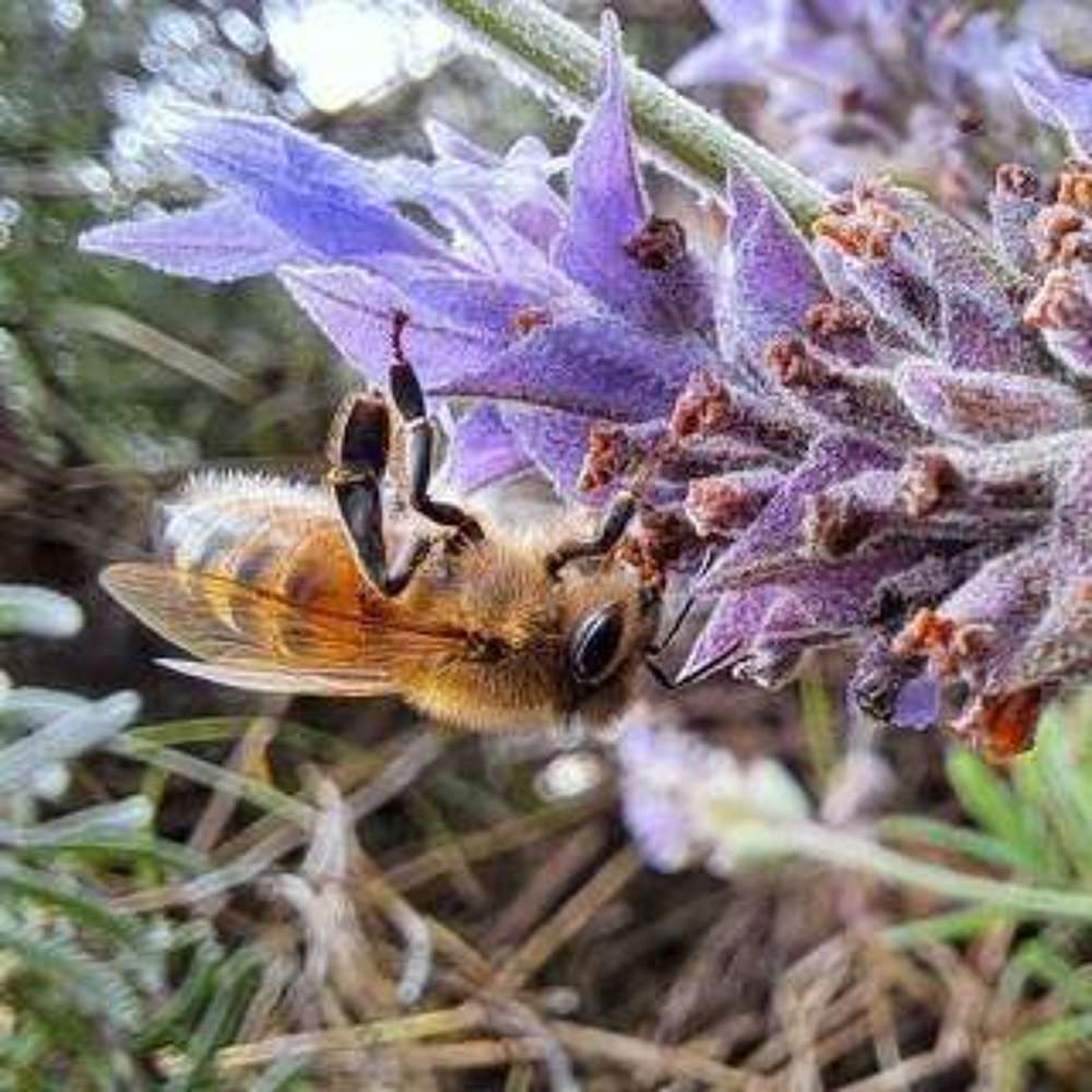 Фотография автора gustavo pecelis