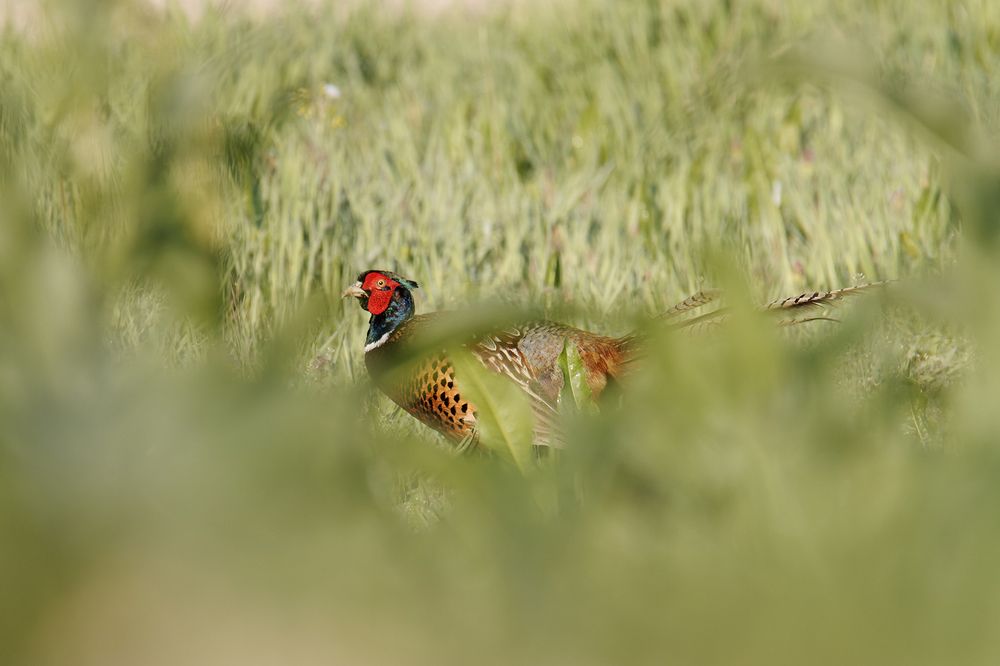 Photograph by Sajkovski Dejan