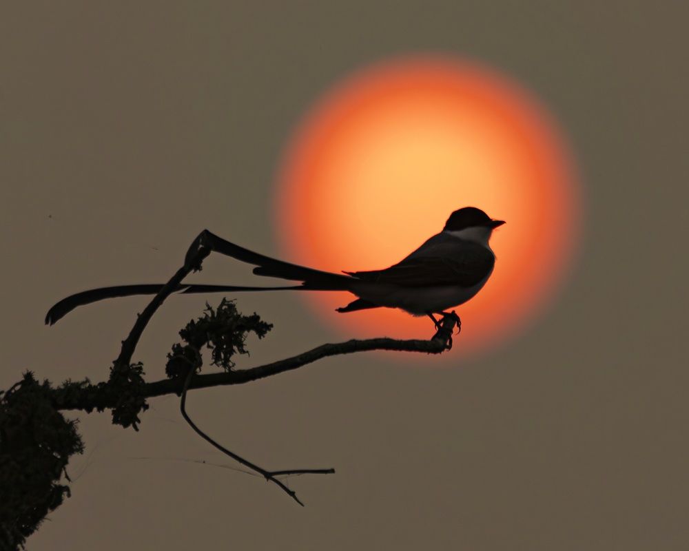 Photograph by Pablo Corengia