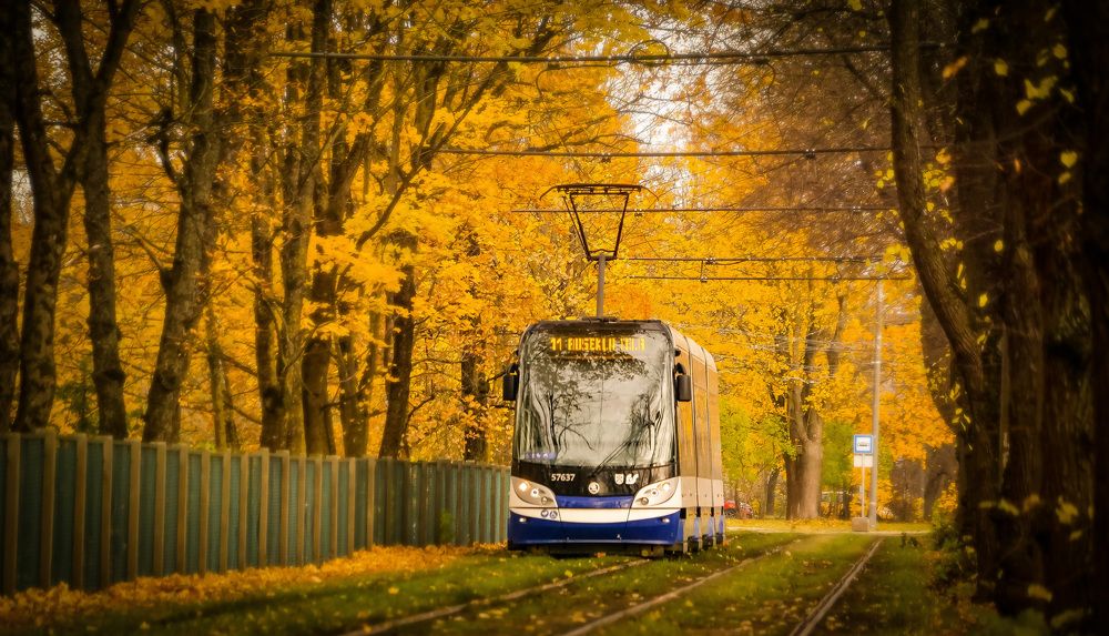 Photograph by Igors Rostikovs