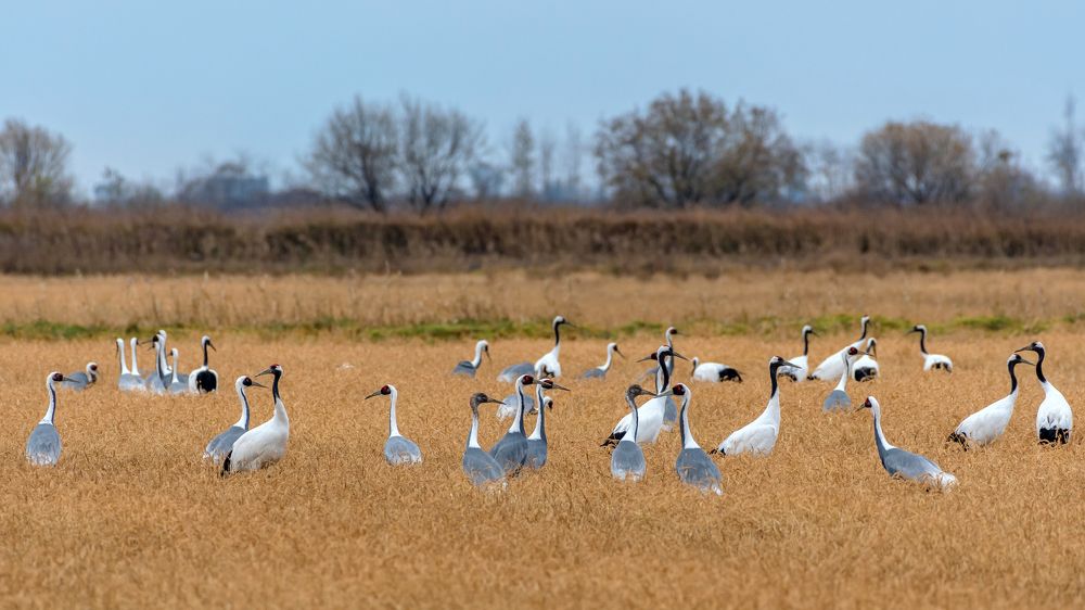 Photograph by константин