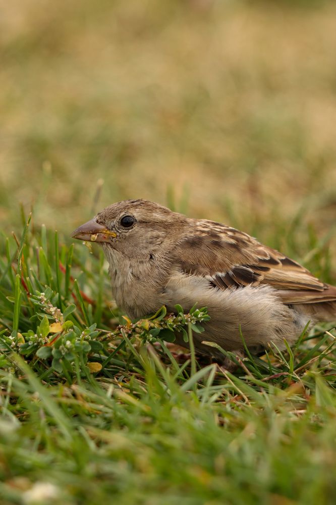 Photograph by Ангелина Высочина