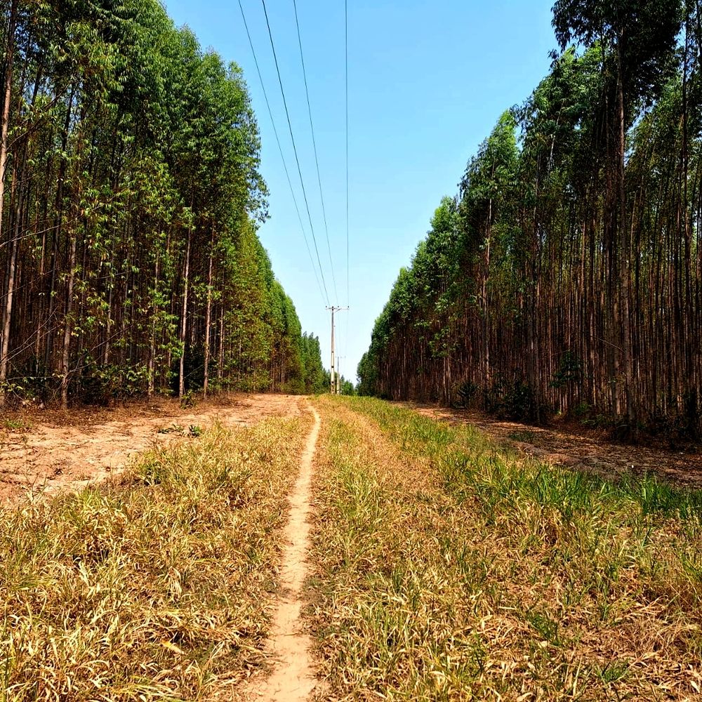 Photograph by Celso de Freitas