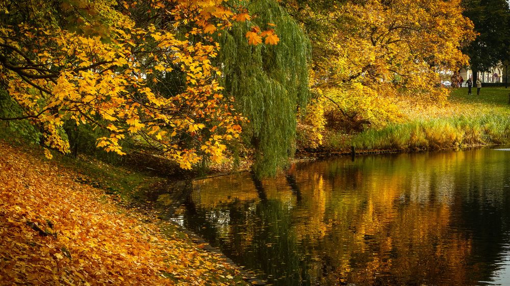 Photograph by Igors Rostikovs