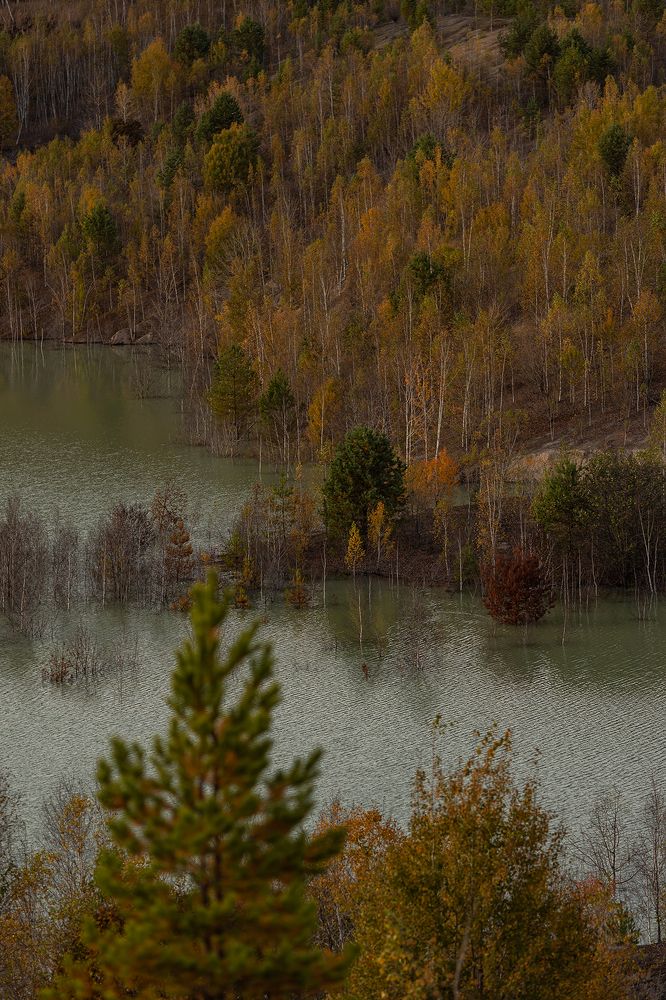 Photograph by Евгения Ильина