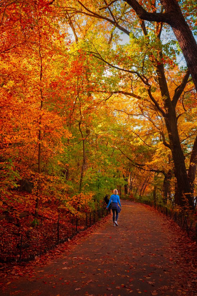 Photograph by Achintya Adhikari