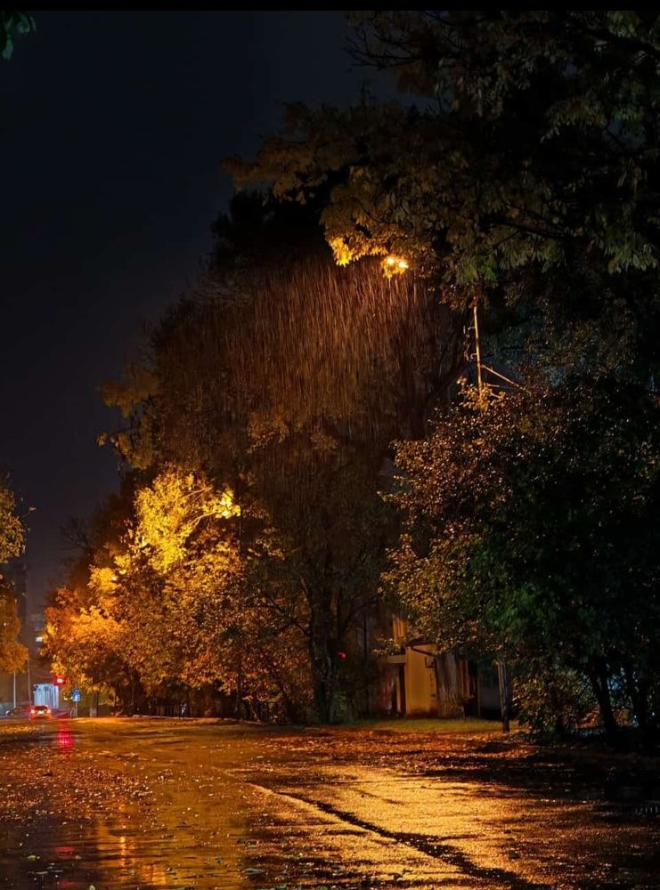 Photograph by Кристина Гареева