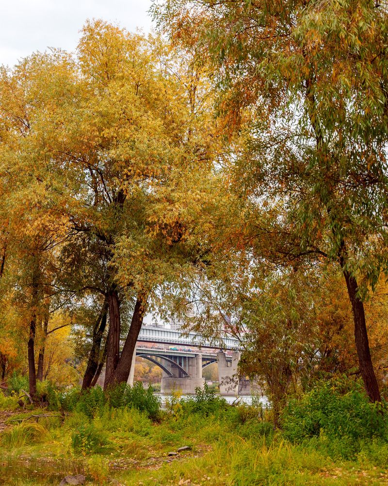 Photograph by Дмитрий Поварков