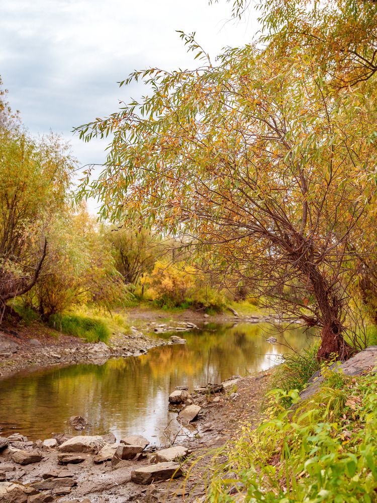 Photograph by Дмитрий Поварков