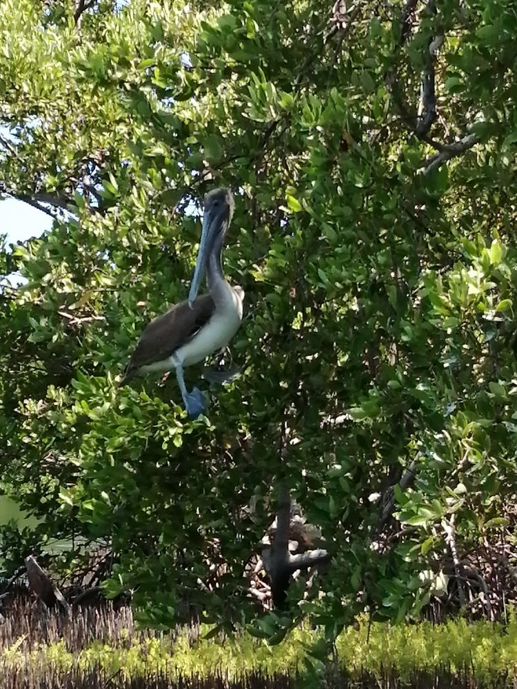 Photograph by Римма Бобрякова