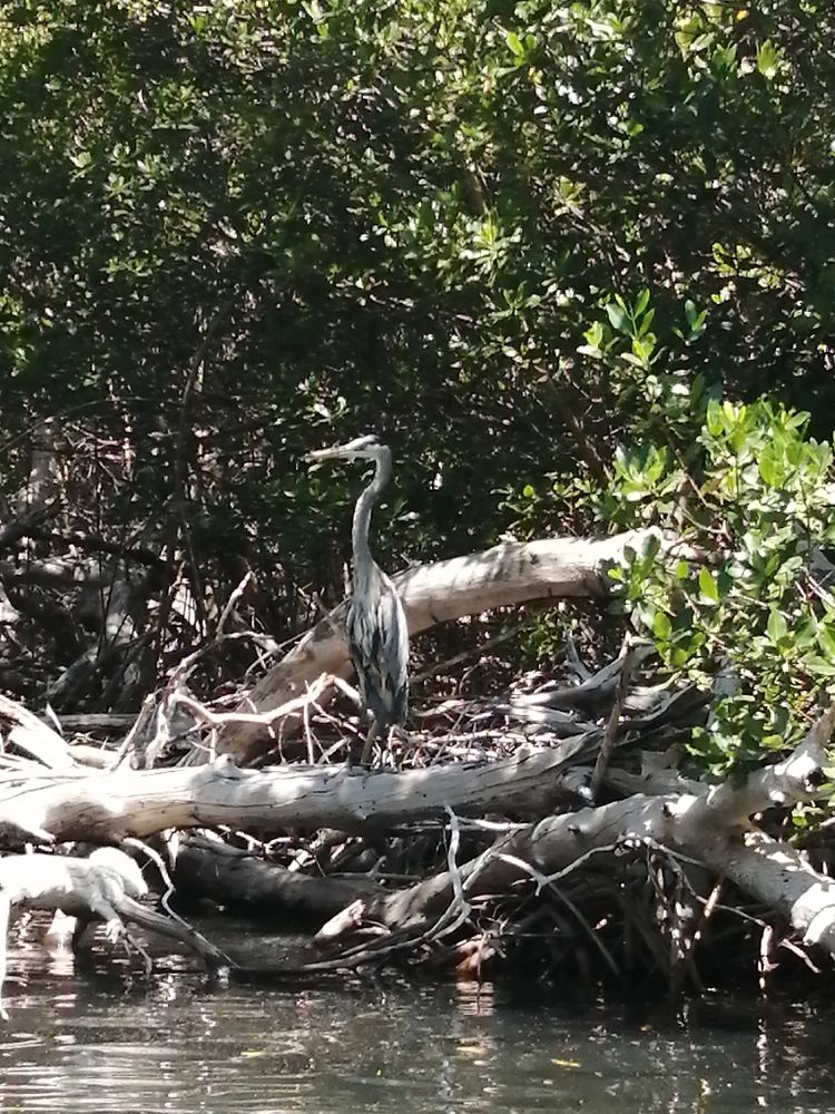 Photograph by Римма Бобрякова