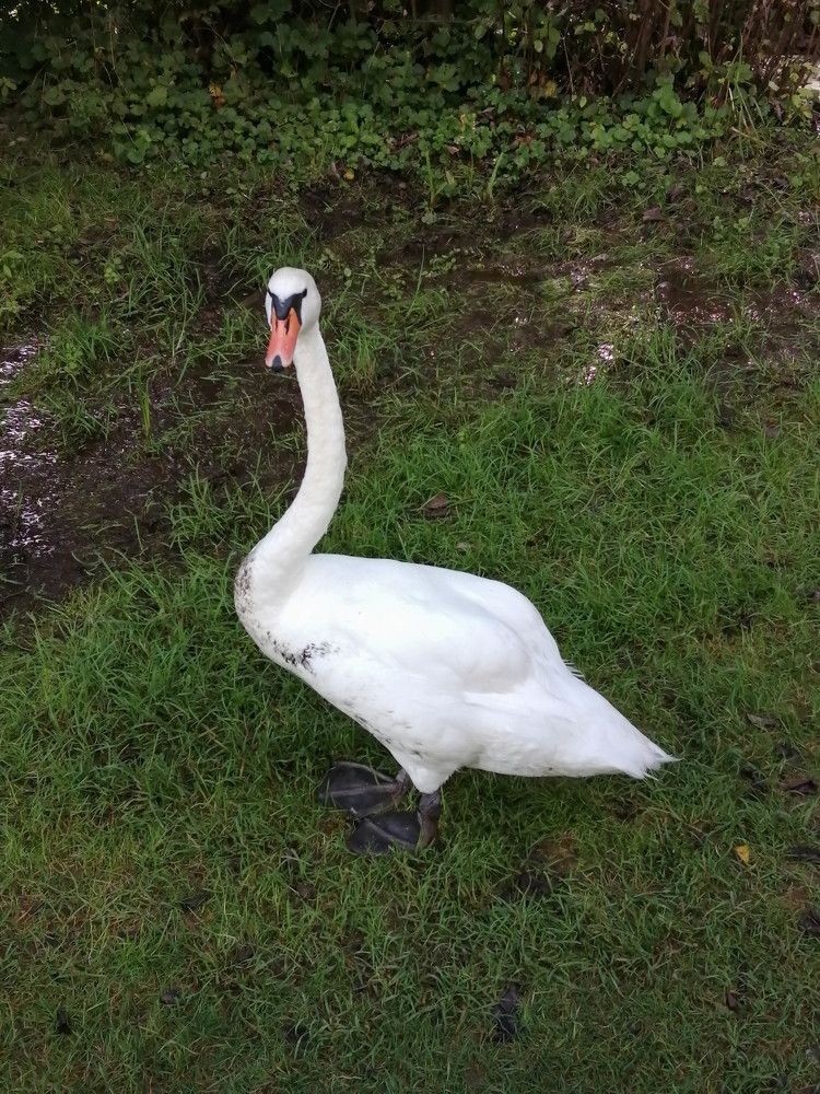 Photograph by Римма Бобрякова