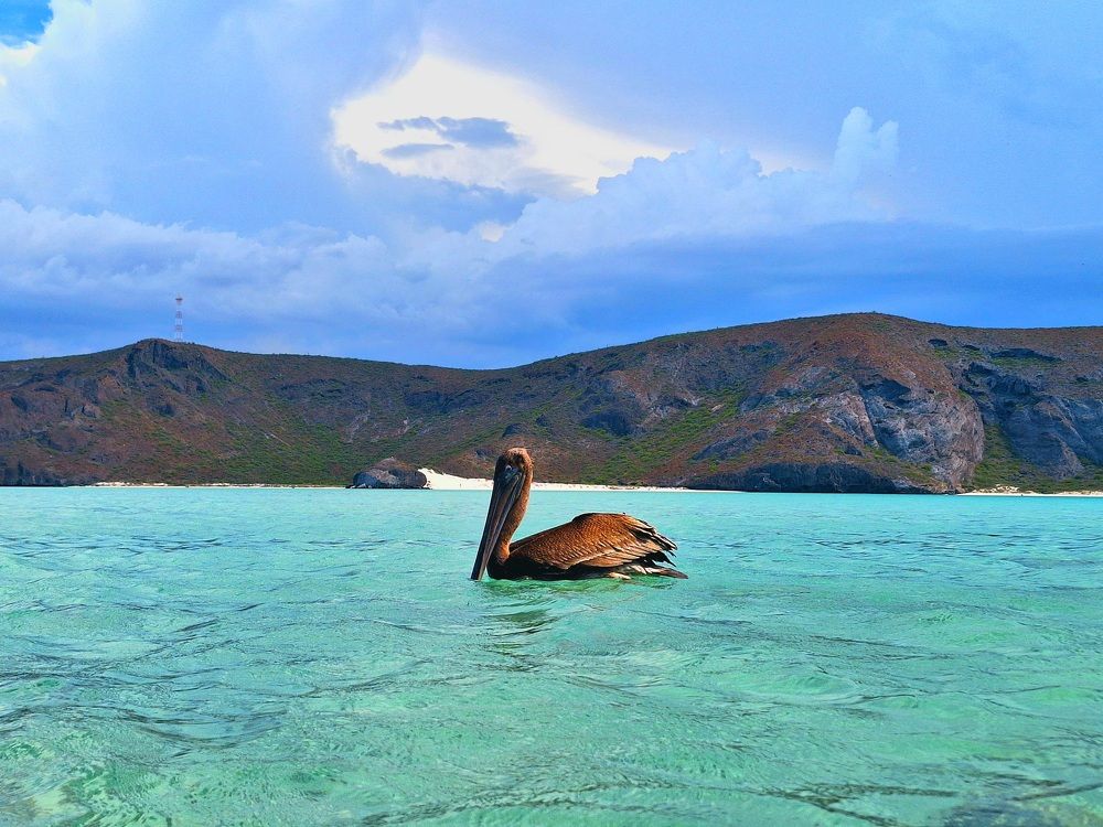 Фотография автора Diego Cesar Monroy Chaparro