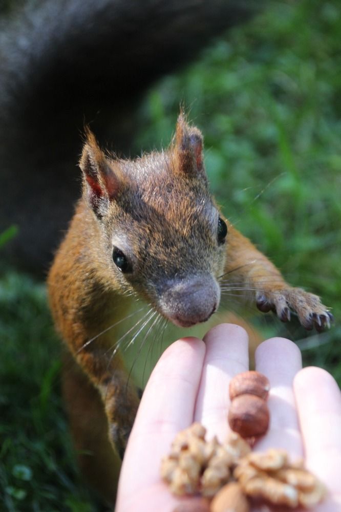 Photograph by Elena Edeleva Еделева