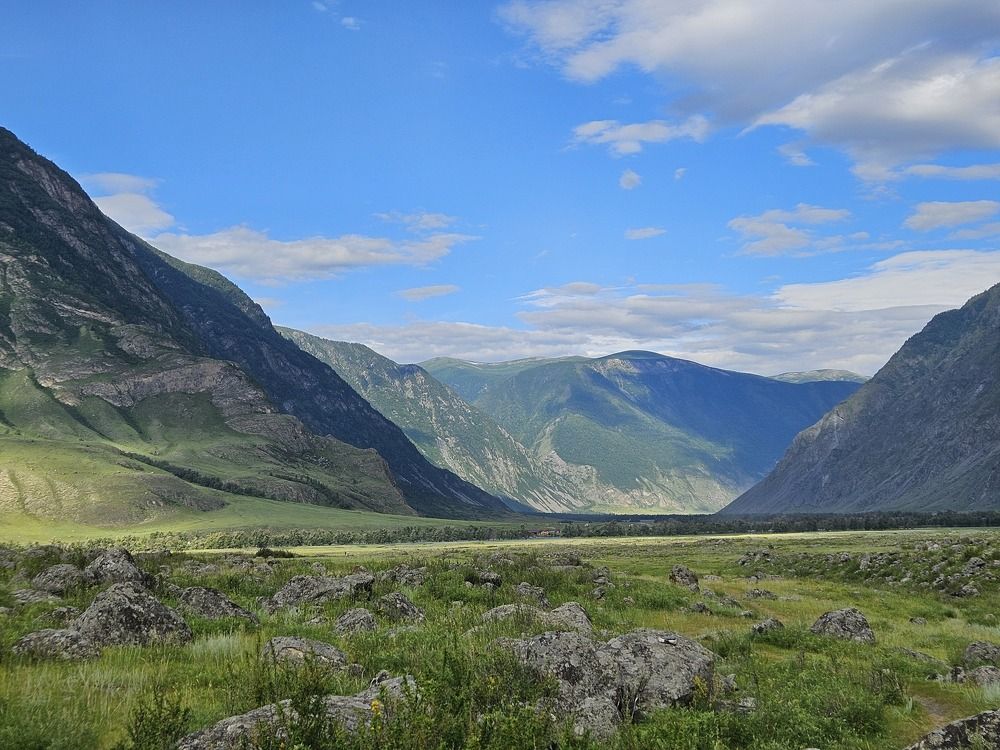 Фотография автора Регина Цыганова