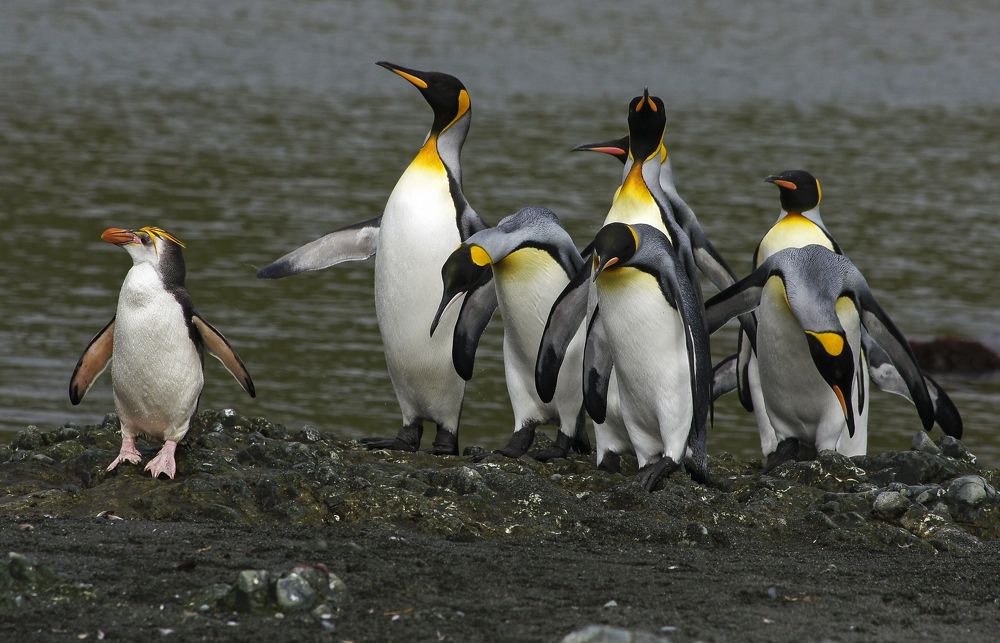 На прогулке