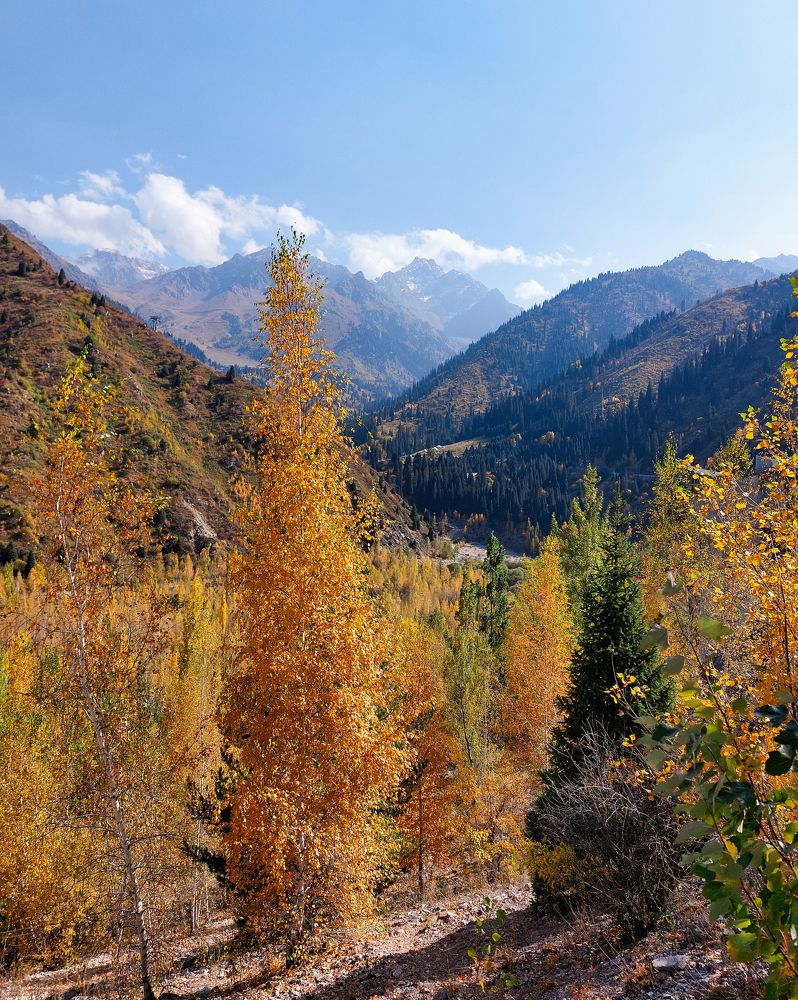 Photograph by Анна Чичилова