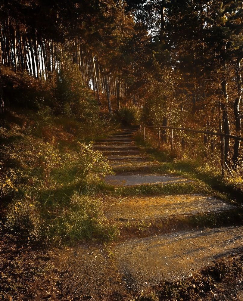 Photograph by Кристина Сысоева