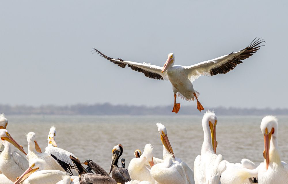 Photograph by Анатолий Костерев