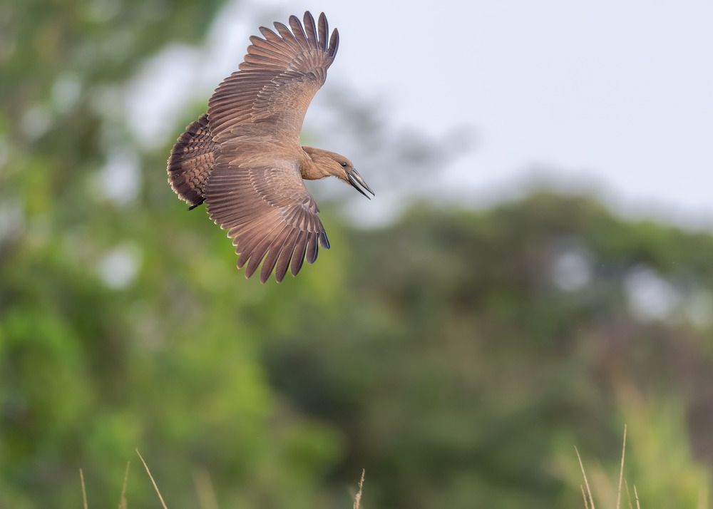 Фотография автора Sajeev Krishnan